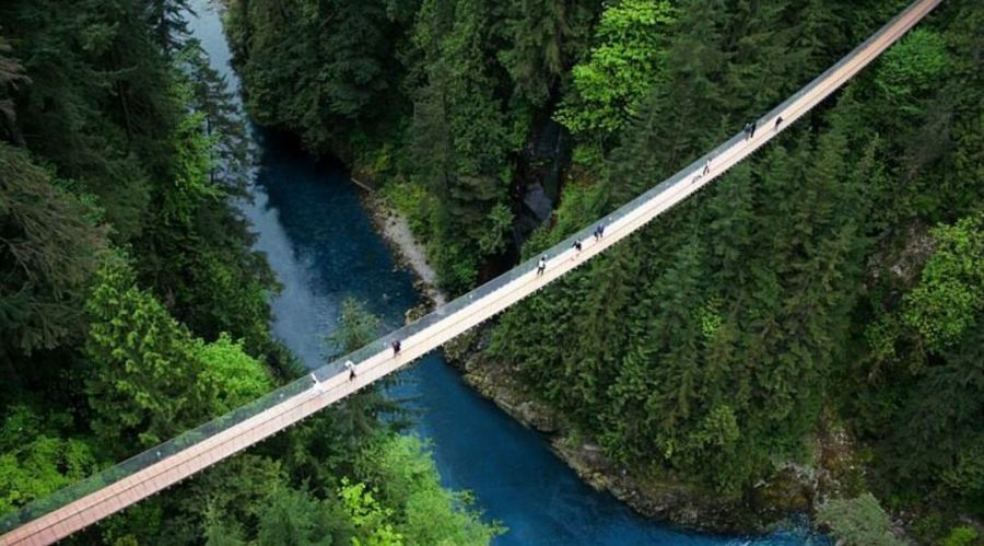 <who>Photo Credit: Tripadvisor</who>The woman fell around 30 metres near the Lynn Canyon Suspension Bridge