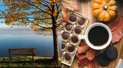 Grab a pumpkin spice latte and sweater, fall arrives in BC today at exactly 11:19 am