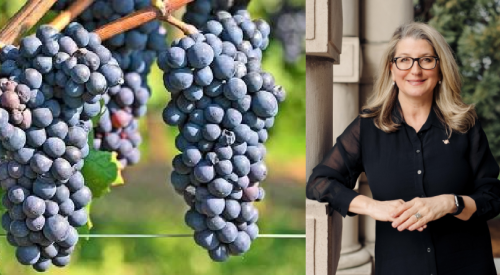 Okanagan wineries can again buy grapes and juice from outside BC this year